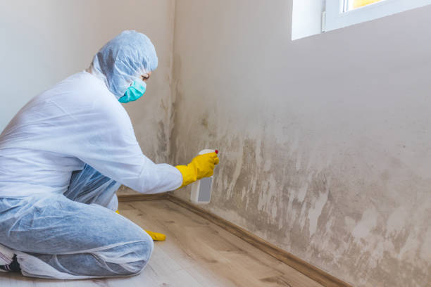 Licensed Mold Testing service in Gainesville, TX - WQB Mold Removal